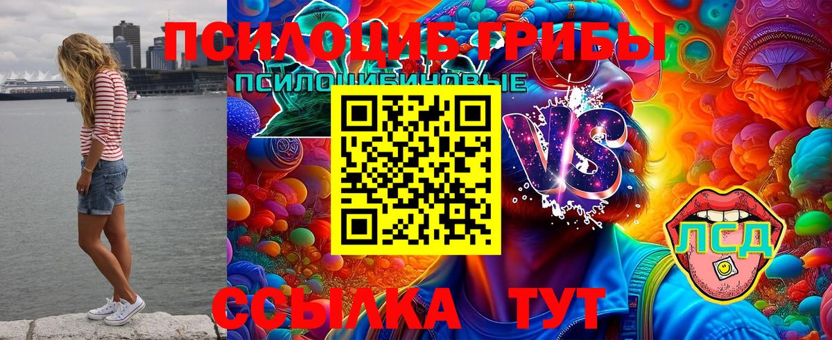 Псилоцибиновые грибы Cubensis  Галлюциногенные грибы GOLDEN TEACHER  Владивосток  Вход с VPN 